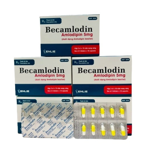 4919. BECAMLODIN (Amlodipin 5mg; Hộp 3 vỉ x 10 viên nang, Thùng 100 hộp) Becamex-VN